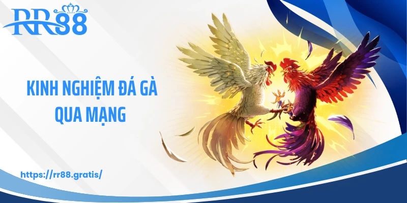 Kinh Nghiệm Đá Gà Qua Mạng - Bí Quyết Ẩn Sau Màn Hình