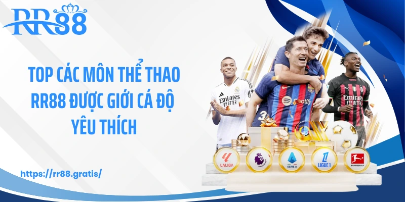 Top các môn thể thao RR88 được giới cá độ yêu thích